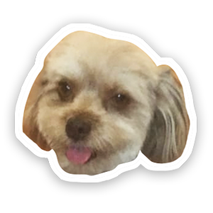 Spinning pet